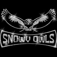 GLT94 SILVER GLITTER Thumbnail