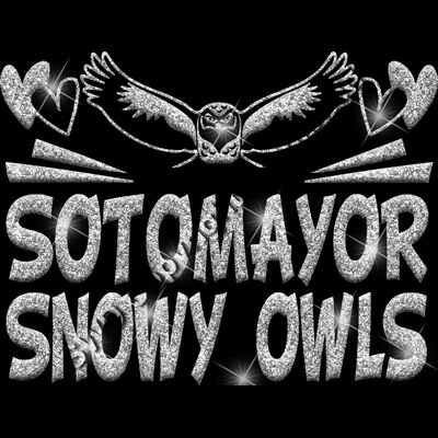 GLT88 SILVER GLITTER Thumbnail