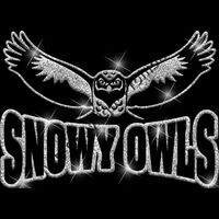 GLT32 SILVER GLITTER Thumbnail